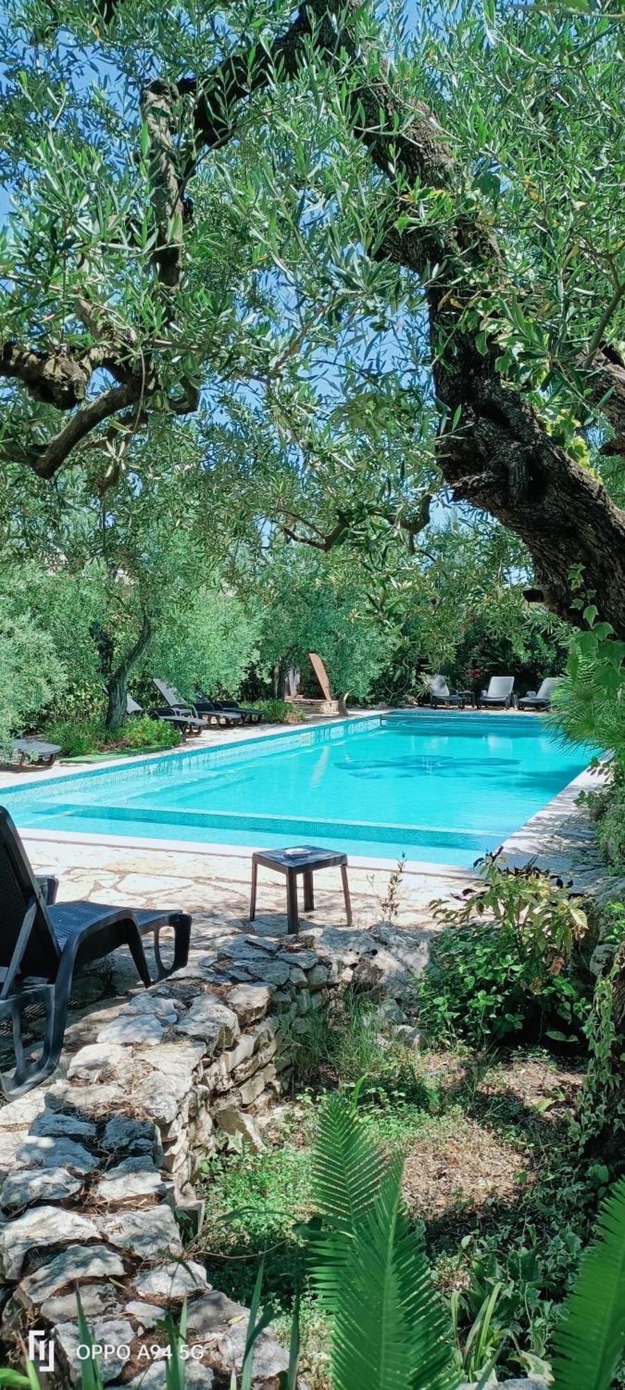 Agriturismo Le Vedute Bisceglie Exteriör bild