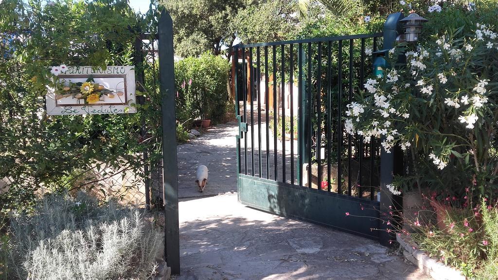 Agriturismo Le Vedute Bisceglie Exteriör bild